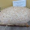 izlozba_uskrsnih_jaja2018 (5)